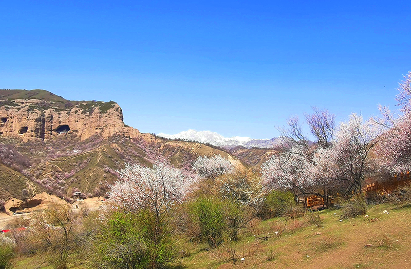 大西溝福壽山