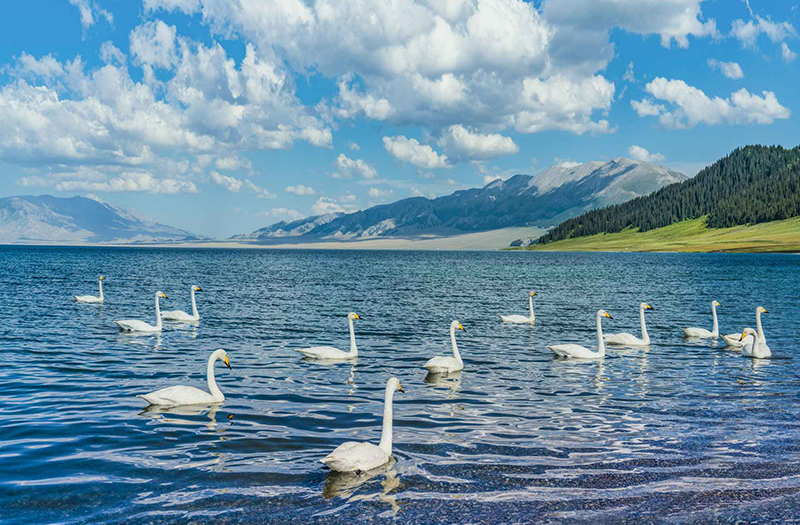 賽里木湖